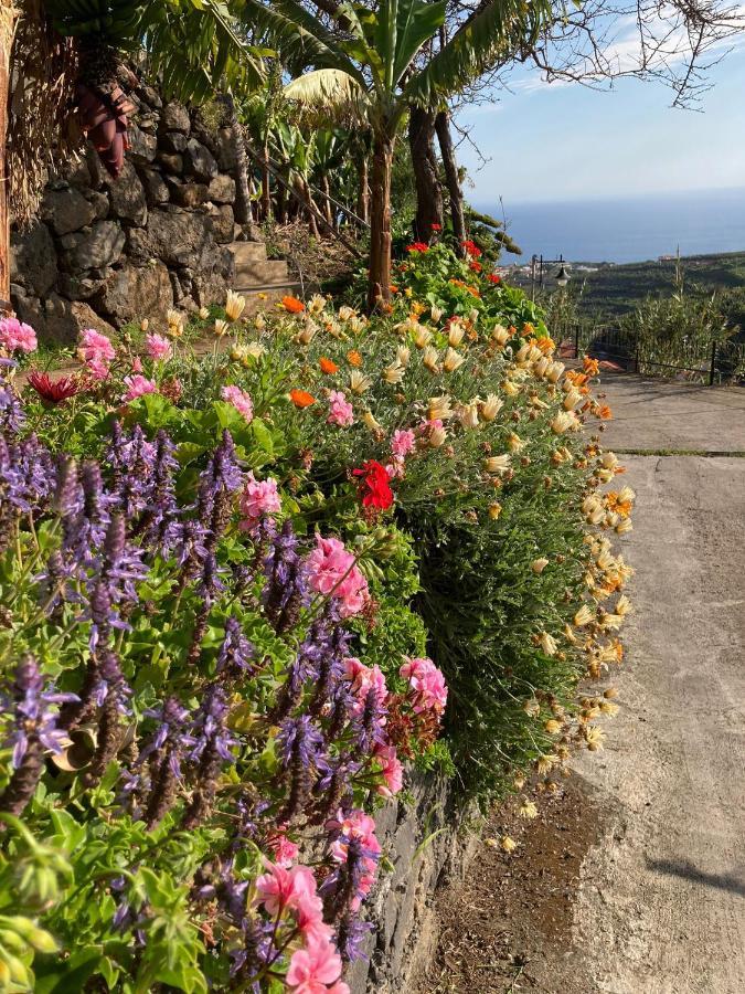 Fazenda Do Sousinha Hotel Funchal  Exterior photo